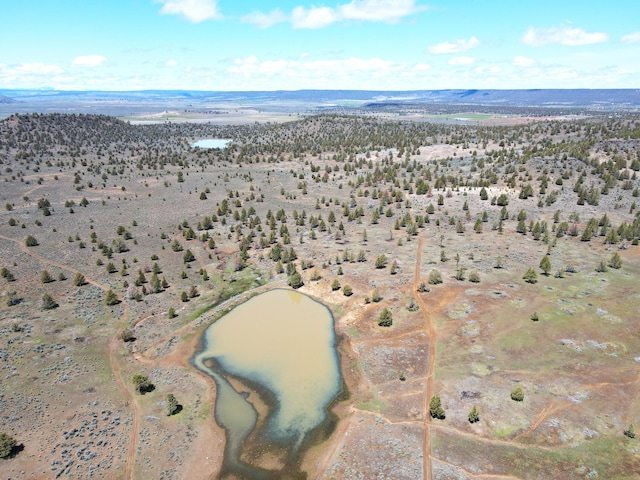 view of drone / aerial view