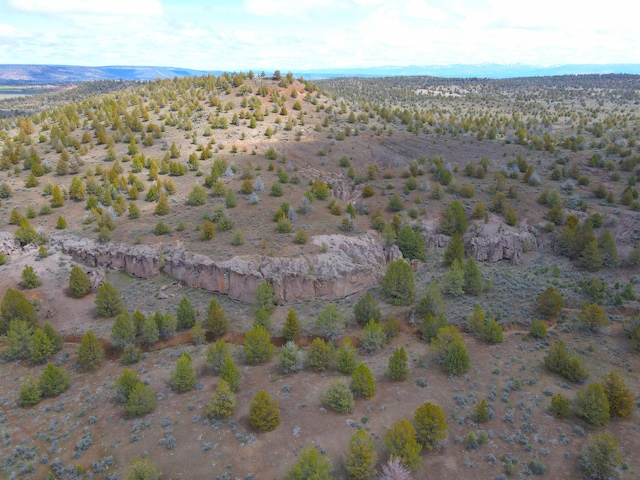 view of drone / aerial view