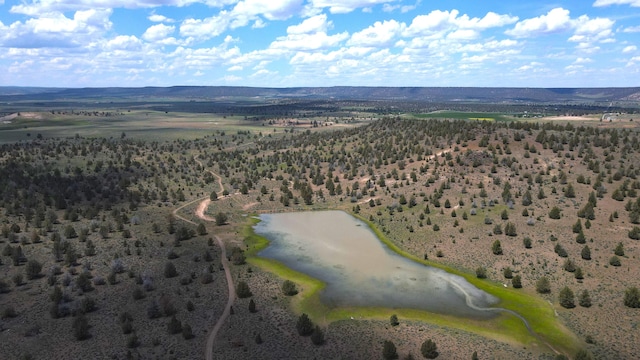 drone / aerial view with a mountain view