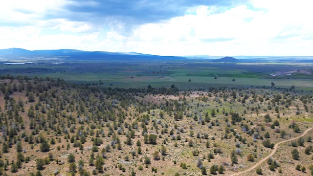 bird's eye view featuring a mountain view