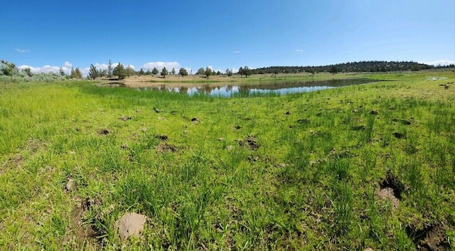 view of nature with a water view