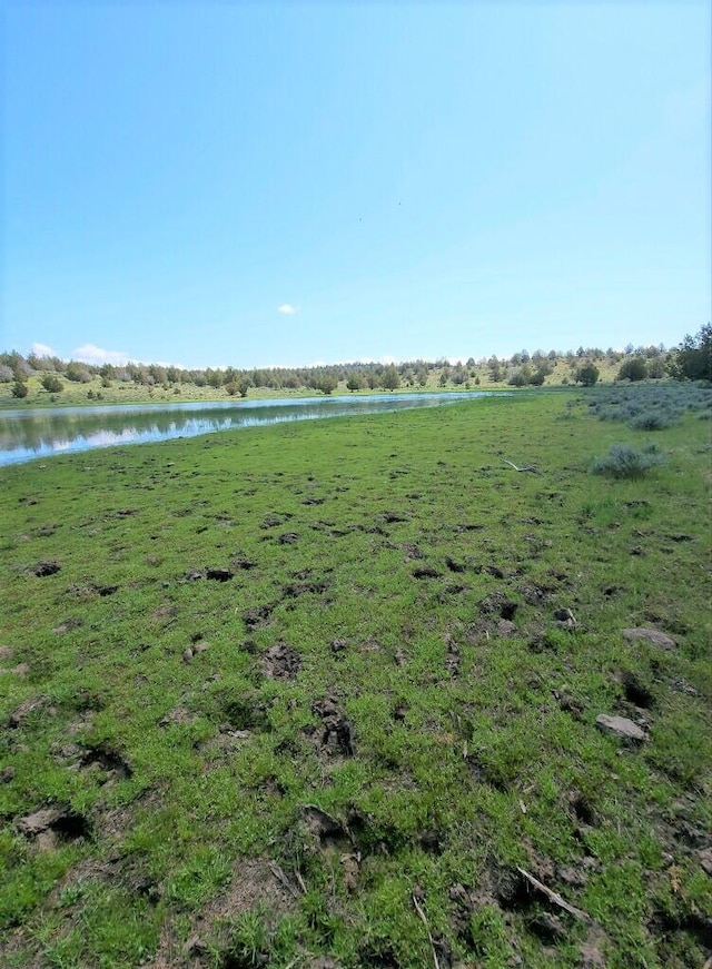 view of local wilderness with a water view