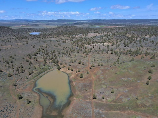 view of bird's eye view