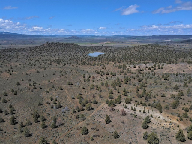 aerial view featuring a mountain view