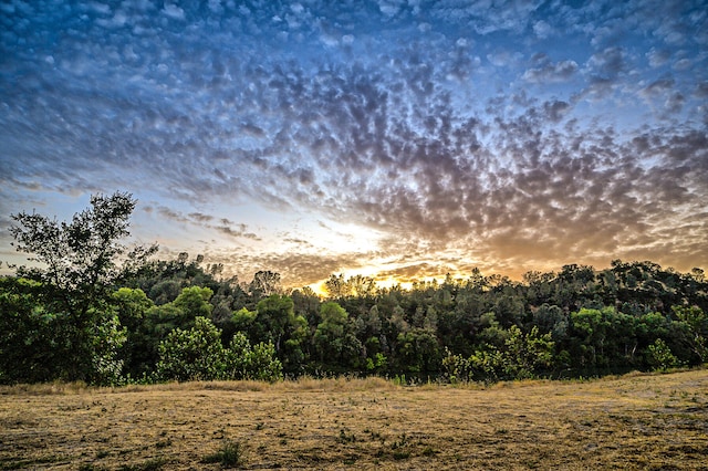 view of nature at dusk