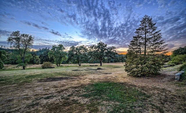 view of yard at dusk