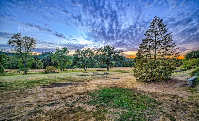 yard at dusk featuring a rural view