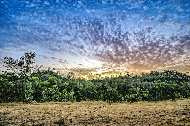 view of nature at dusk