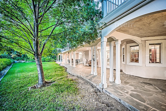 view of yard featuring a patio area