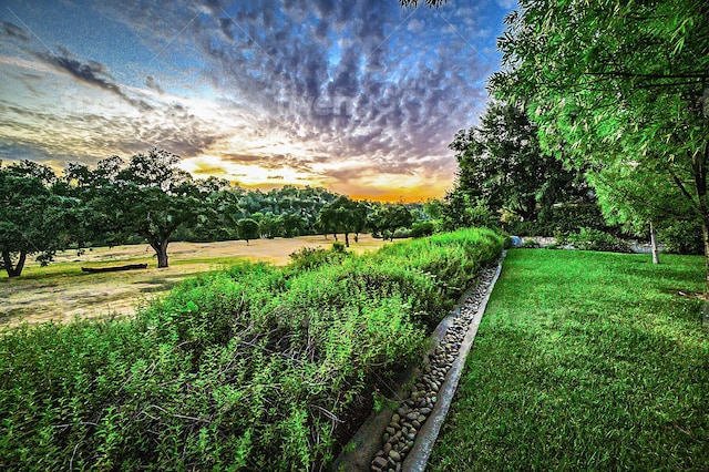 view of yard at dusk