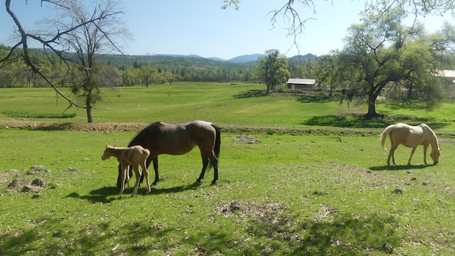 surrounding community featuring a rural view and a yard