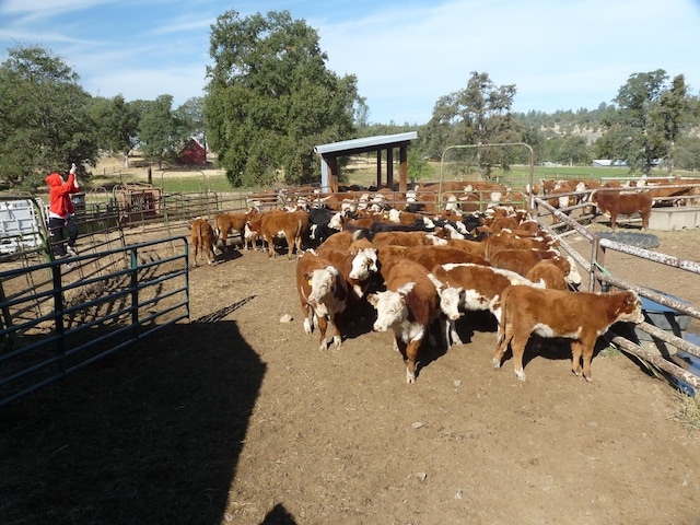 view of stable featuring a rural view