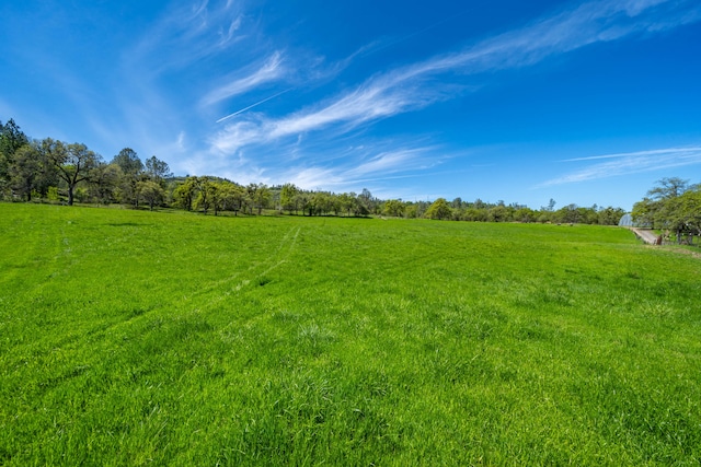 view of yard with a rural view