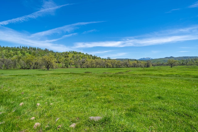 view of mother earth's splendor featuring a rural view