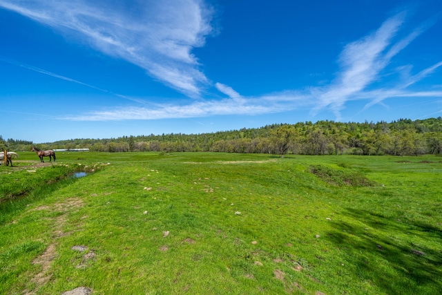 view of yard featuring a rural view