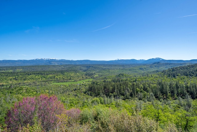 view of mountain view