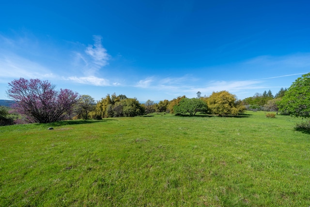 view of yard with a rural view