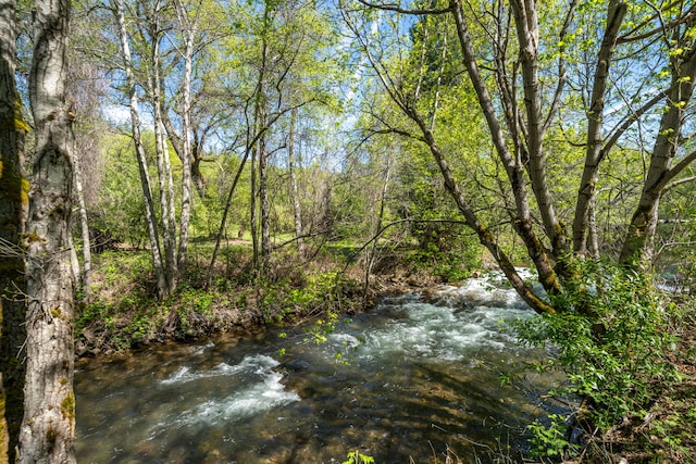 view of nature featuring a water view