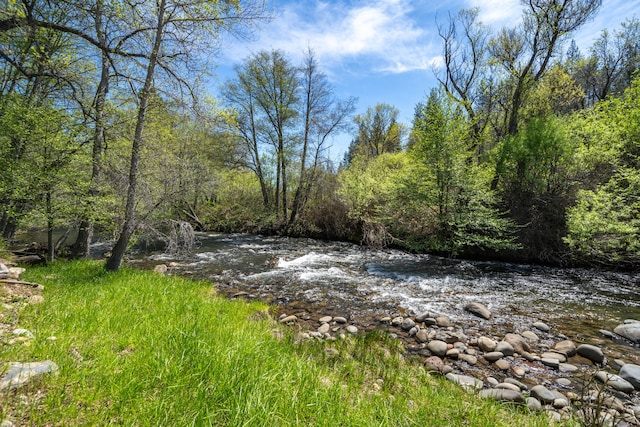 view of local wilderness with a water view