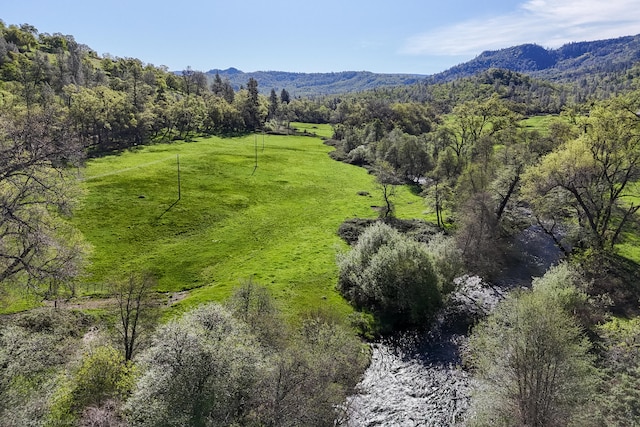 bird's eye view featuring a mountain view