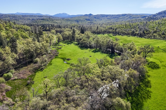 bird's eye view featuring a mountain view