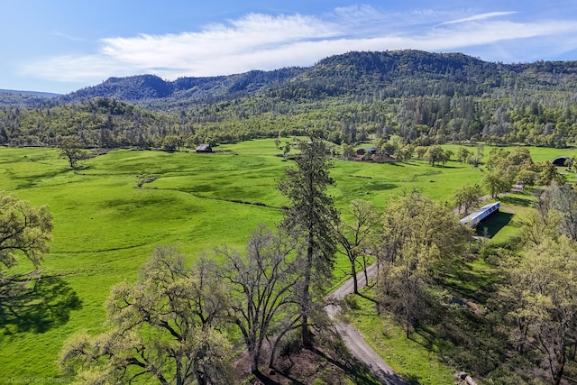 birds eye view of property with a mountain view and a rural view