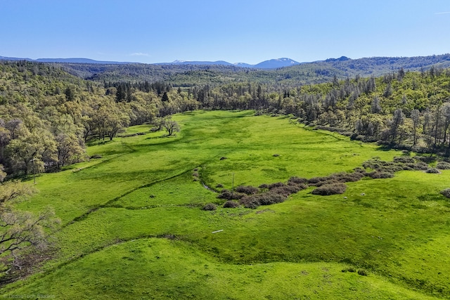 birds eye view of property featuring a mountain view