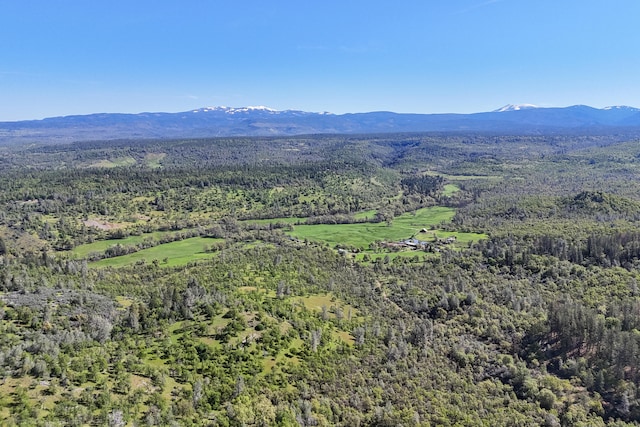 view of mountain feature