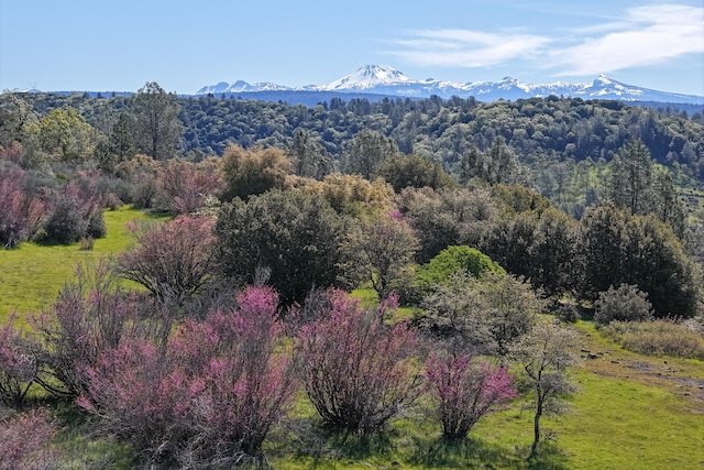 view of mountain feature