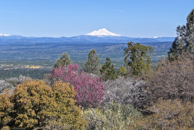 view of mountain feature