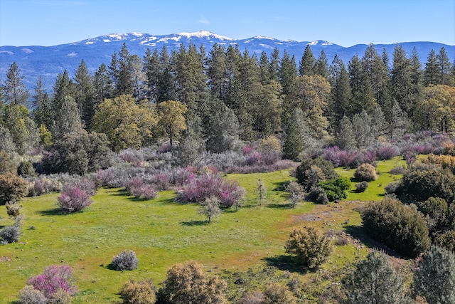 bird's eye view featuring a mountain view