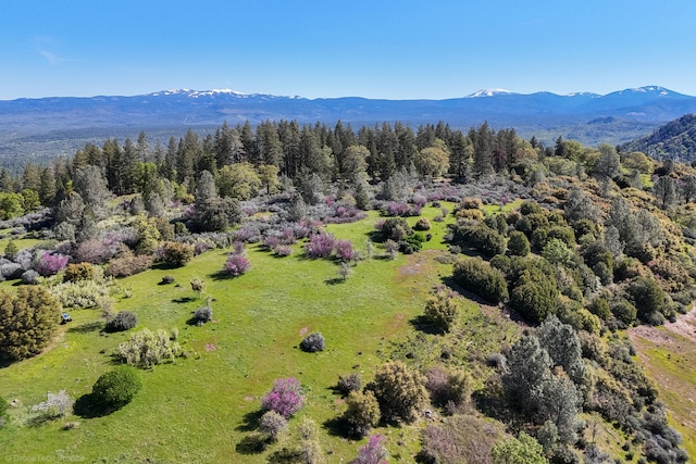 drone / aerial view with a mountain view