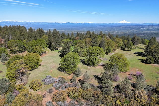 birds eye view of property with a mountain view