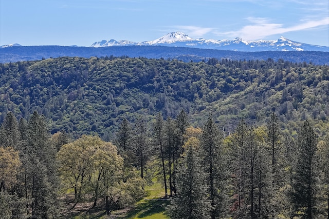 view of mountain feature