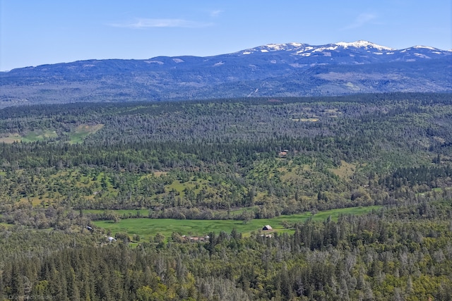 view of mountain view