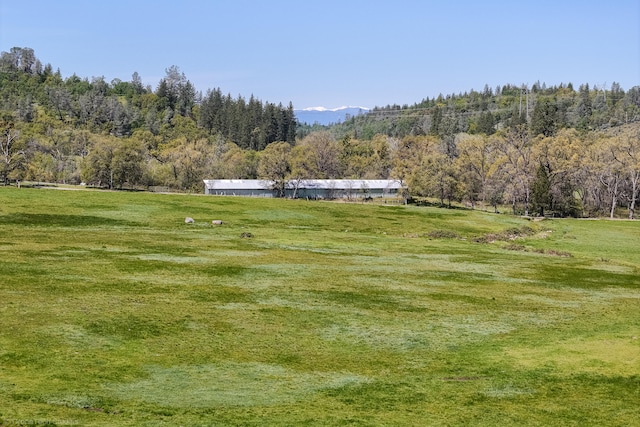 view of yard with a rural view