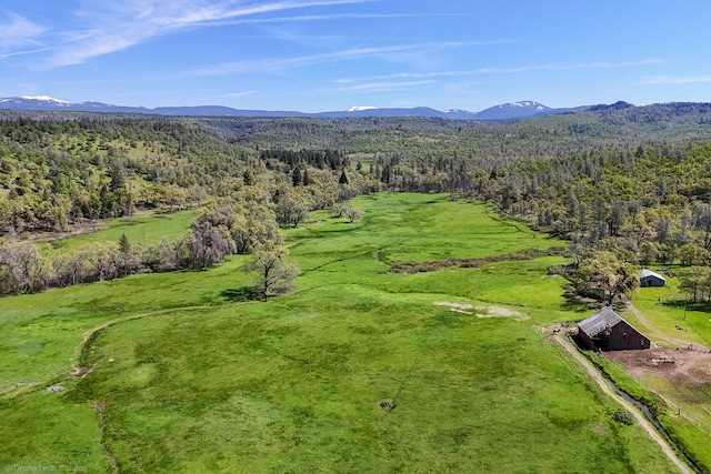 bird's eye view featuring a mountain view