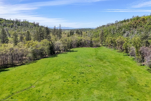 view of yard with a rural view