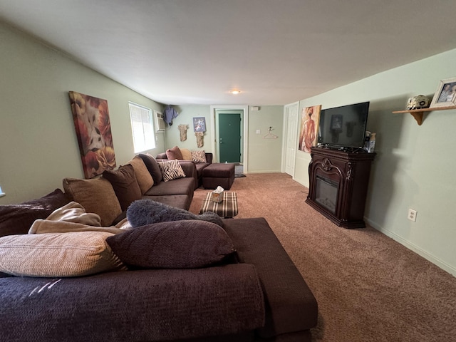 living room with carpet