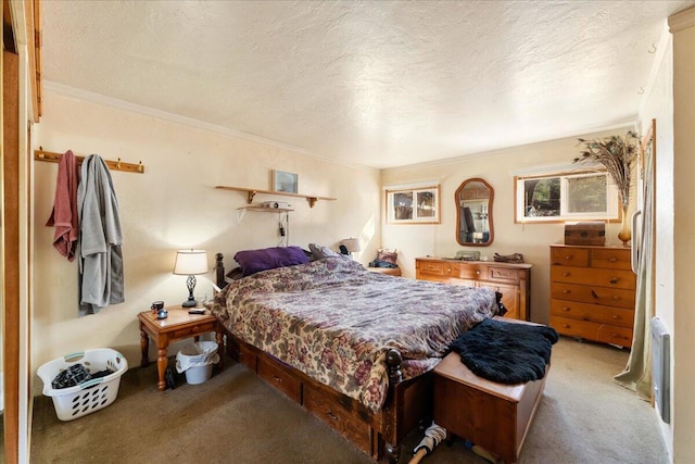 bedroom featuring carpet floors and a textured ceiling