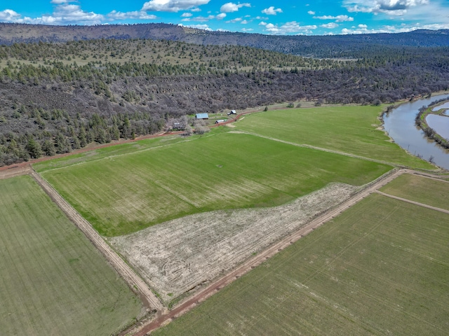 bird's eye view featuring a forest view and a water and mountain view