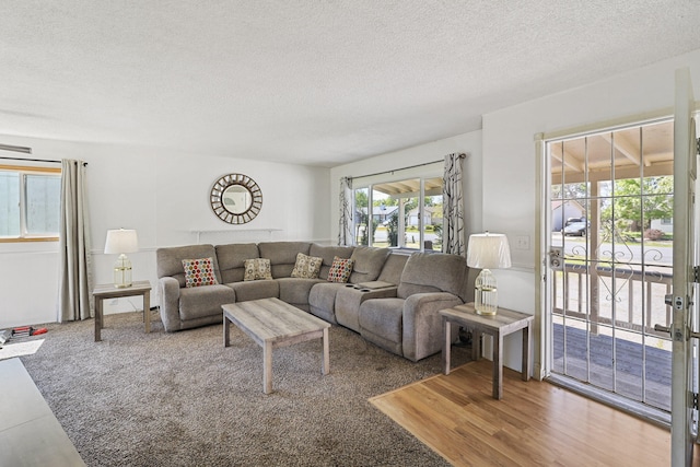 living room featuring hardwood / wood-style floors and a textured ceiling