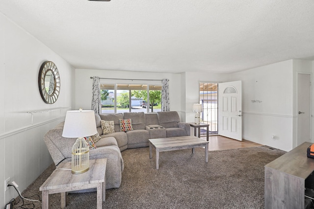 living room with a textured ceiling