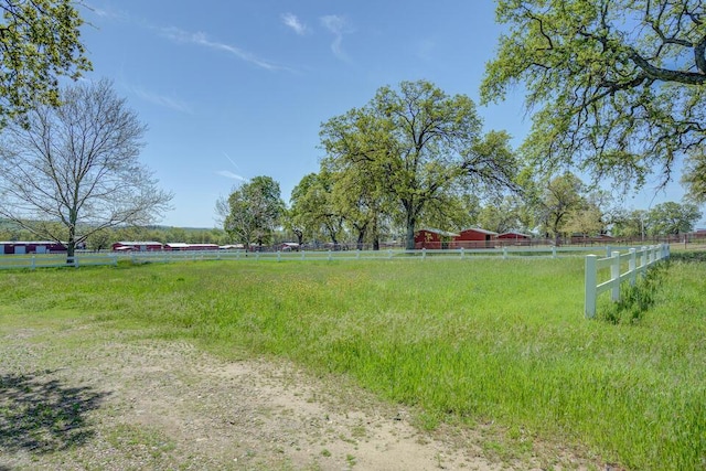 view of yard with a rural view