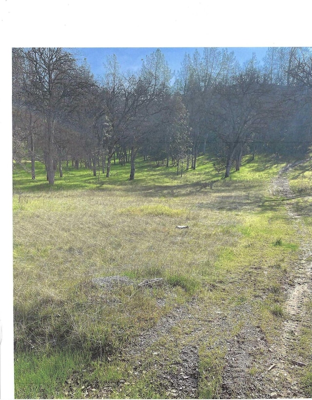 16600 Oakridge Rd, Corning CA, 96021 land for sale