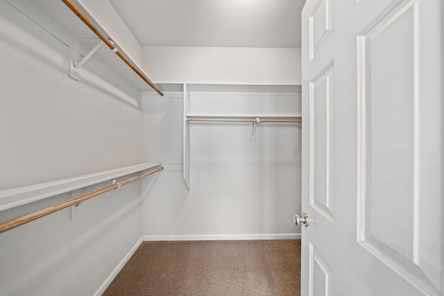 spacious closet with carpet