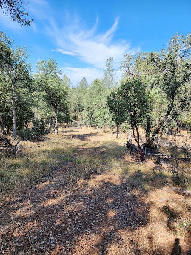 Listing photo 3 for 29391 Inwood Rd, Shingletown CA 96088