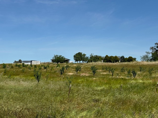 view of nature featuring a rural view