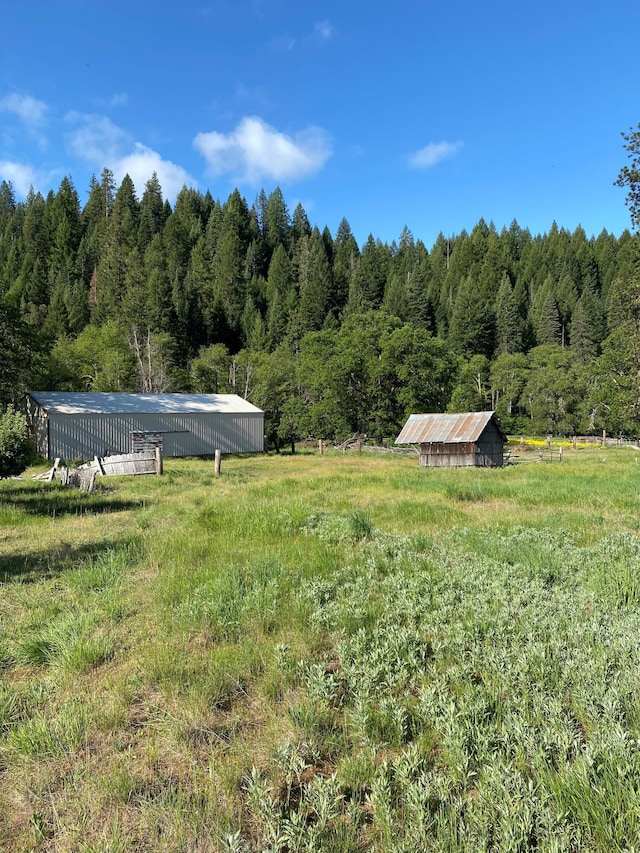 view of yard featuring an outdoor structure