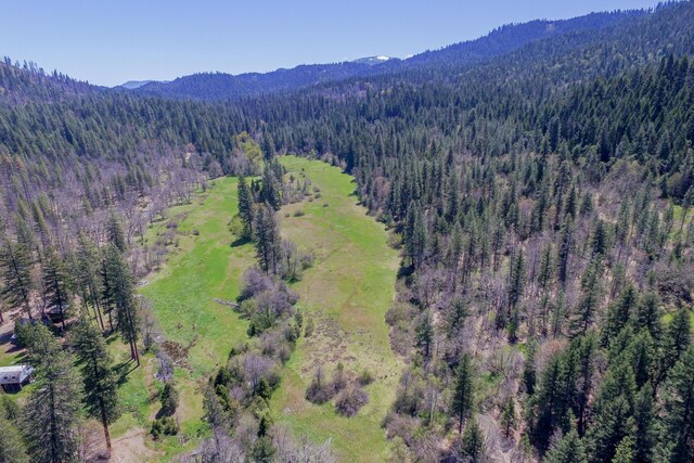 1040 Mullane Trl, Big Bar, CA 96010 - photo 34